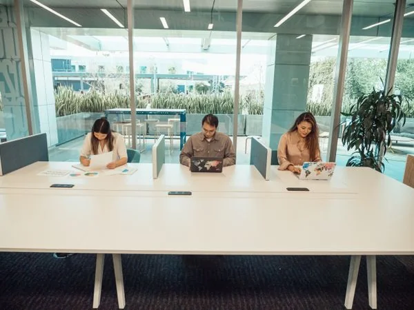 Incubation de startups Néo In'Pulse Hub
